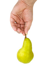 Image showing Hand holding green pear