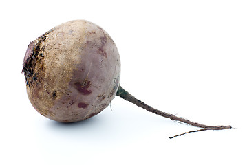 Image showing Red beet