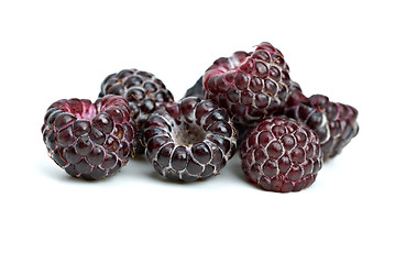Image showing Few blackberries