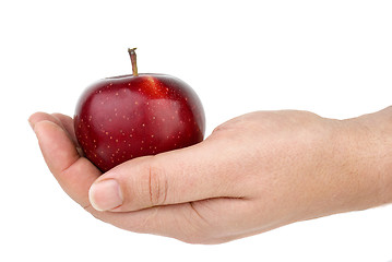 Image showing Red apple lie in palm