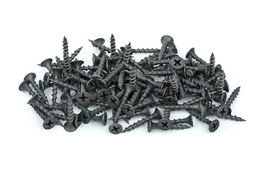 Image showing Pile of wood screws