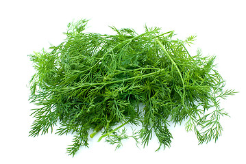 Image showing Some fresh green dill