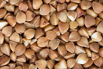 Image showing Background of dried buckwheat grains