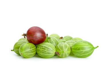 Image showing Pile of green gooseberries and purple on the top
