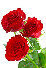 Image showing Three beautiful red roses