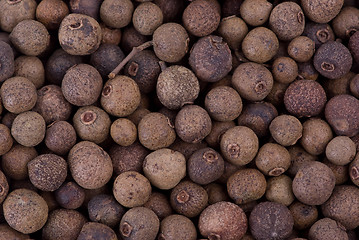 Image showing Spices: background of allspice