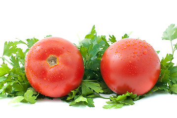 Image showing Two ripe tomatoes with drops of water and some parsley