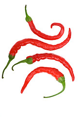 Image showing Four crooked red hot chili peppers