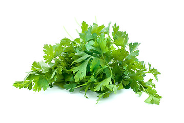 Image showing Some parsley