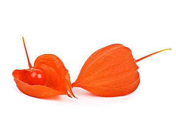 Image showing Whole and shelled winter cherries