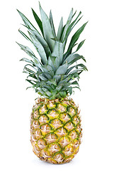 Image showing Whole pineapple