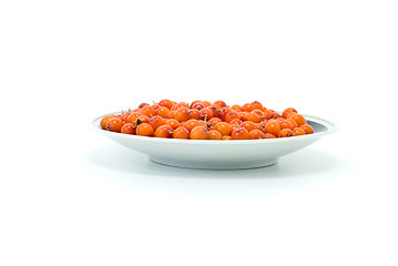 Image showing Porcelain saucer filled with sea buckthorn berries