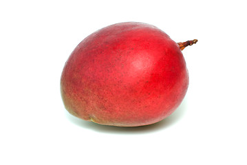 Image showing Single red mango fruit