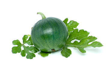 Image showing Small watermelon