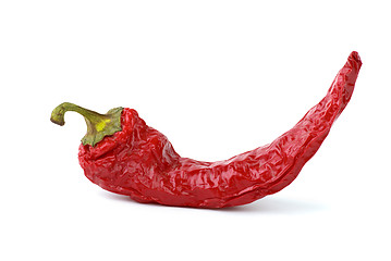 Image showing Dried red chili pepper