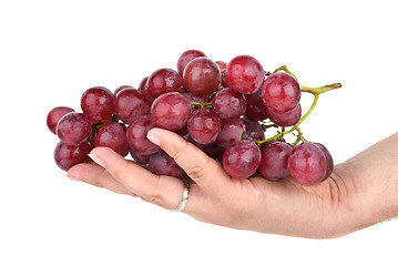 Image showing Bunch of pink grapes in palm