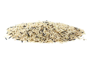 Image showing Pile of mixed (cultivated and wild) rice grains