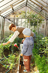 Image showing Gardening with granny