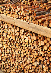 Image showing Pile of wood