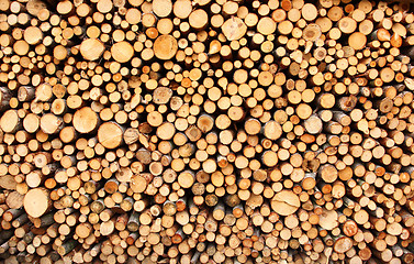 Image showing Pile of wood