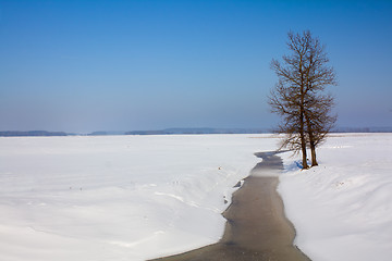 Image showing winter season