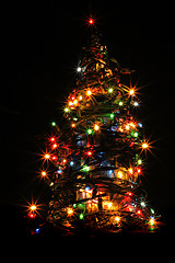 Image showing christmas tree