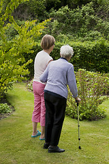 Image showing Seniors in the garden