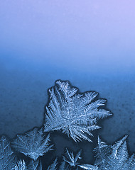 Image showing ice pattern