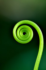 Image showing Green loop