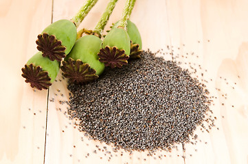 Image showing Poppy seeds and poppy heads 