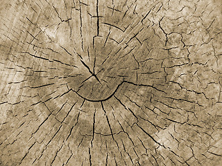 Image showing old wood texture