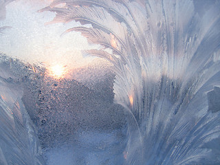 Image showing frost and sun