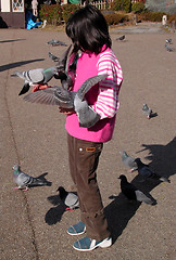 Image showing Girl feeding pigeons