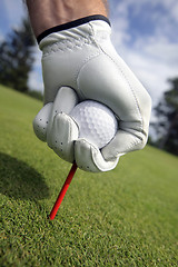 Image showing Placing golf ball on a  tee