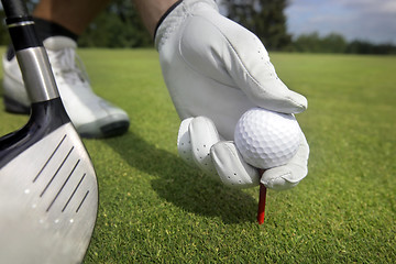 Image showing Placing golf ball on a tee 