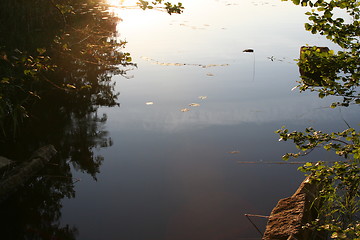 Image showing trees reflecting in water