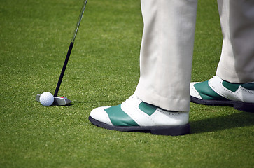 Image showing Golfer putting
