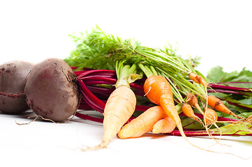 Image showing Beet and carrot