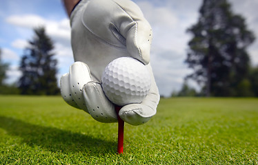 Image showing Placing golf ball on a tee