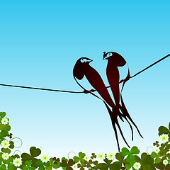 Image showing Swallows background