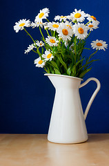 Image showing Oxeye Daisies in the Pitcher