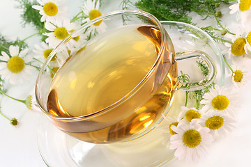 Image showing Chamomile Tea