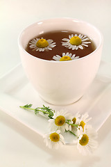 Image showing chamomile tea