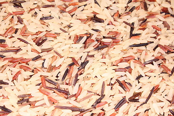 Image showing colorful rice