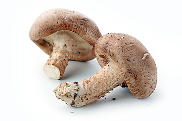 Image showing Healthy food. Mushrooms