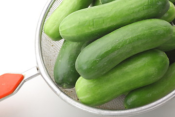 Image showing The green cucumbers