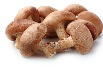 Image showing Healthy food. Mushrooms