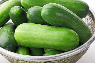 Image showing The green cucumbers