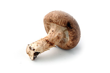 Image showing Healthy food. Mushrooms