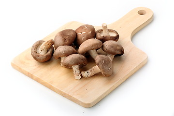 Image showing Healthy food. Mushrooms